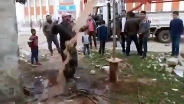 Şanlıurfa'daki mahallede kanalizasyon yok, içme suyu çamurlu akıyor!