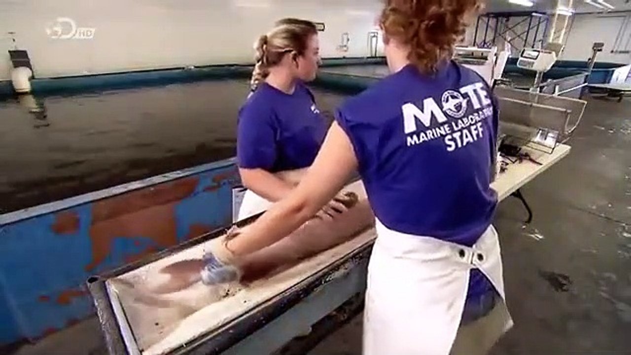 How Its Made - 869 Farmed Caviar