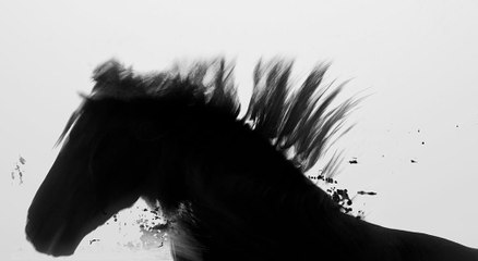 ABSENT NOW THE DEAD Movie (2021) - Kieran Bew, John Hopkins, Charlie Hewson