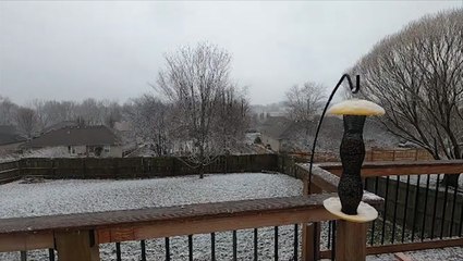 Flurries and clouds in Ozark