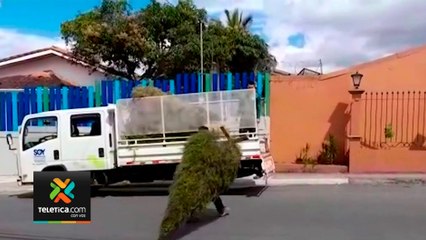 tn7-campaña-arbol-arbol-020121