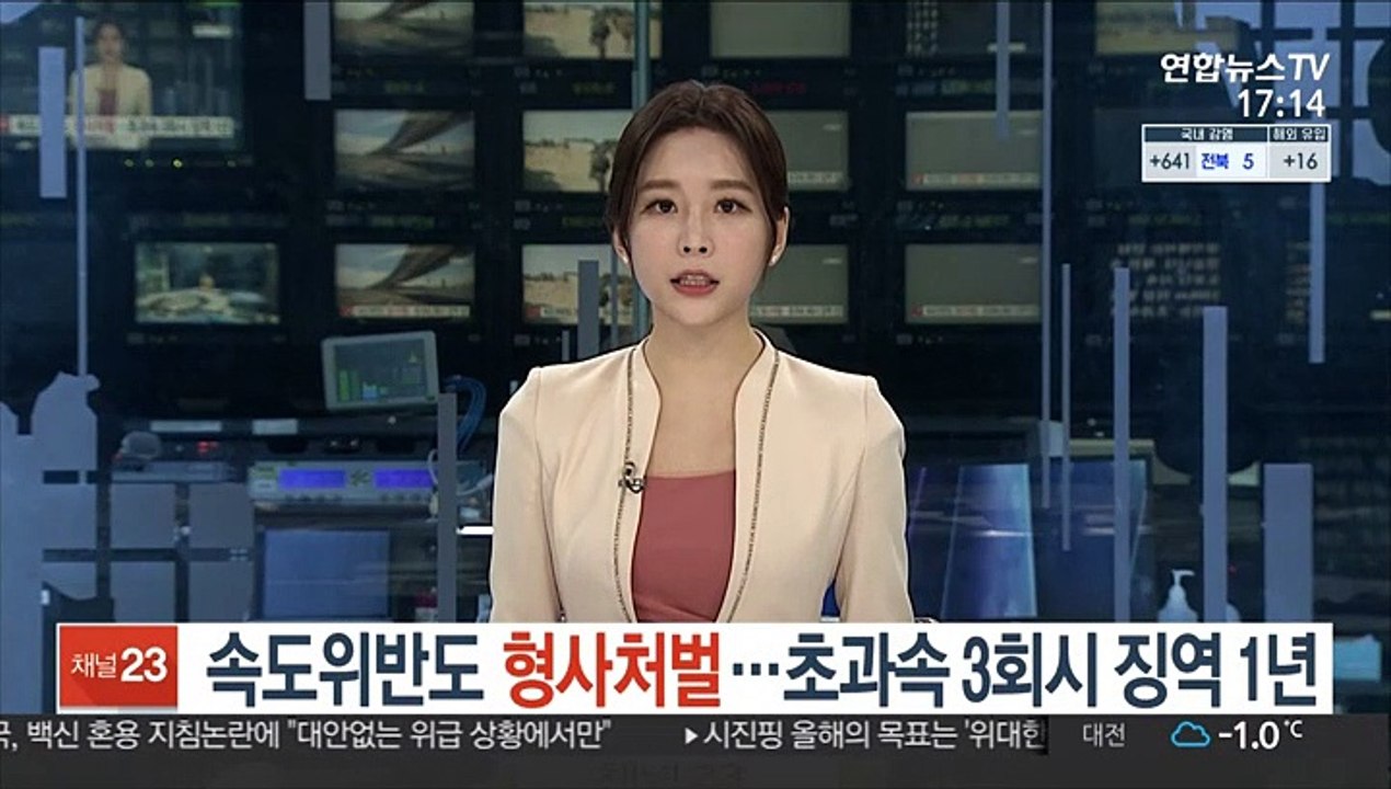 속도위반도 형사처벌…초과속 3회시 징역 1년