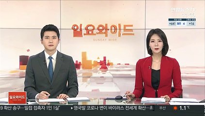 Скачать видео: 비트코인 가격 3만 달러 돌파하며 사상 최고가