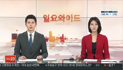 윤석열 첫 30%선…이재명 20.3%·이낙연 15%