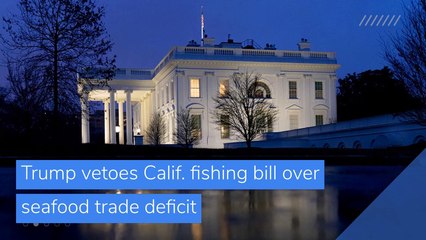 Trump vetoes Calif. fishing bill over seafood trade deficit, and other top stories in business from January 03, 2021.
