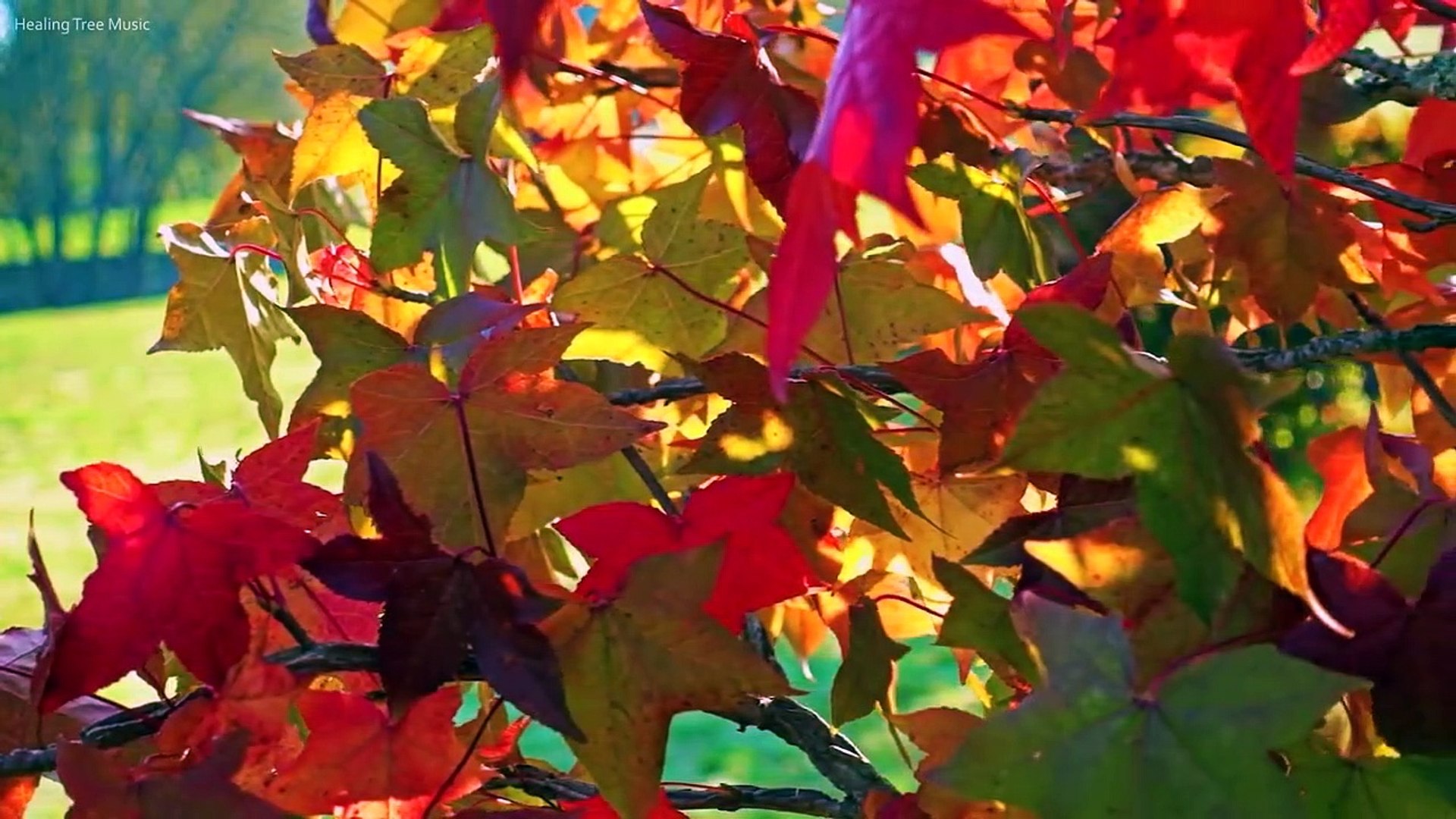 Relaxing Piano Music: Beautiful Sad Music, Soothing Music, Romantic Music, Stress Relief