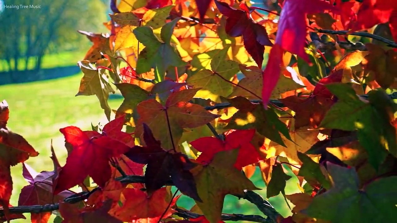 Relaxing Piano Music: Beautiful Sad Music, Soothing Music, Romantic Music, Stress Relief