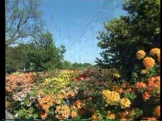 Chinese KTV Stock Footage Reel - 2005