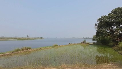 Indian village agriculture fields and water system