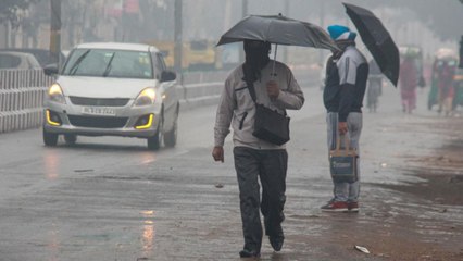 Rain in Delhi, temperature dips, cold wave intensifies