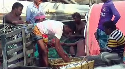 Fishermen Selling Fish After Catching From Sea 4