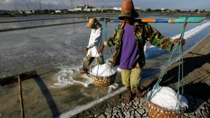 Indonesia salt farmers hope to modernise as imports boom