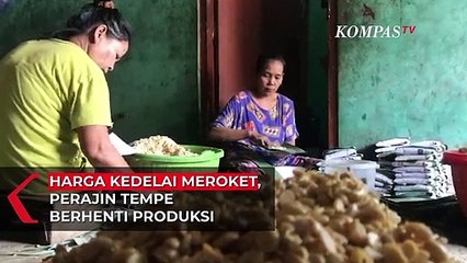 Tải video: Harga Kedelai Meroket, Sebagian Produsen Tahu Tempe Berhenti Produksi