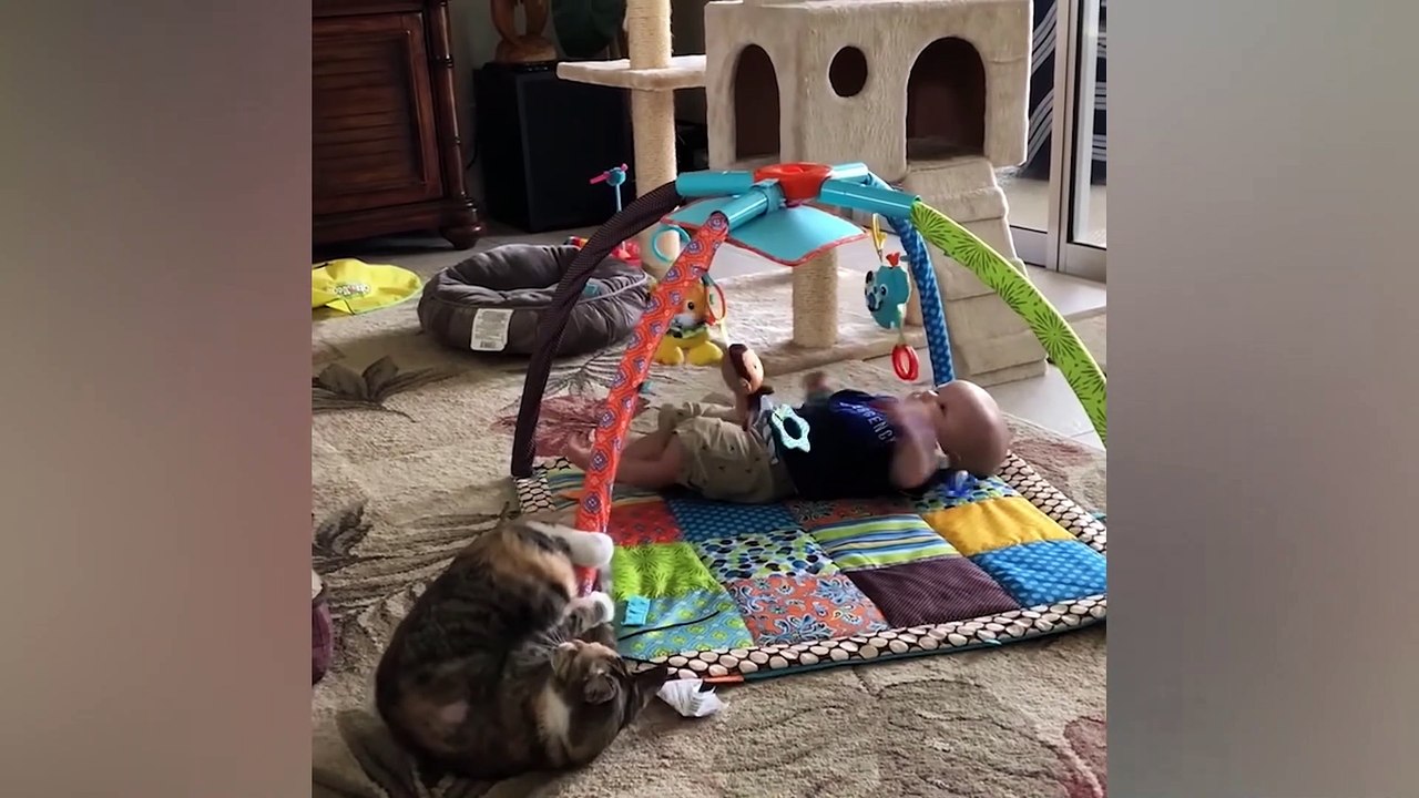 Cat Fails - Funny Cat Videos 2021 - Baby and Cat Fun and Fails