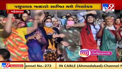 Campaigning for Dudhsagar dairy polls to end tomorrow _ TV9News _ D20_SS_17