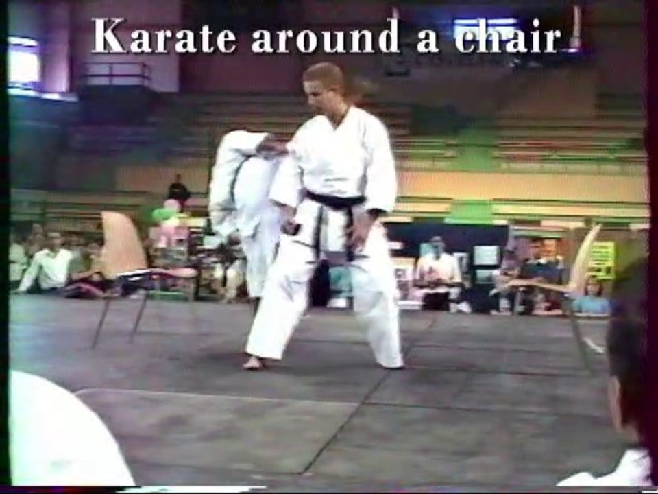 KARATE MASTER LEVINET