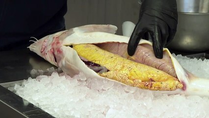 كافيار جبال الألب النمسوية الأبيض...كنز نفيس