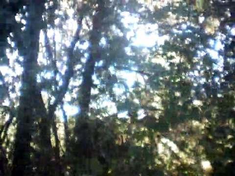 When Johnny comes marching home c