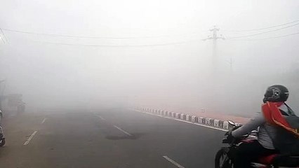 मावठ के साथ छाया कोहरा,12 जिलों में हल्की बारिश का यलो अलर्ट