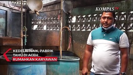 Harga Kedelai Meroket, Pemilik Pabrik Tahu Rumahkan Karyawan