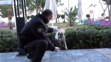 Polis Memuru Ahmet Küçükbaşol: “Onlar Bizim Sessiz Dostlarımız”