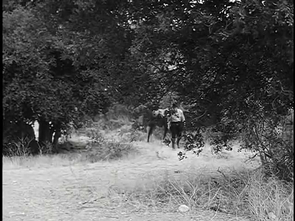 TOMBSTONE TERRITORY - THE YOUNGEST GUN