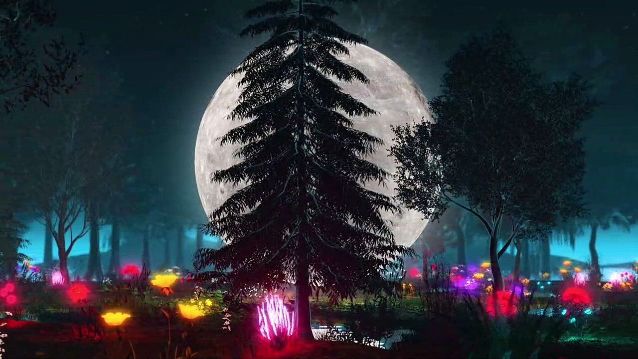 Project RocWard - Spring Night
