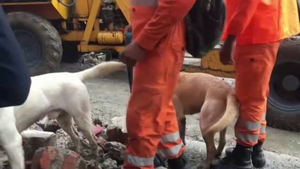 El desplome del tejado de un crematorio en la India causa 17 muertos