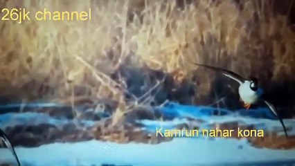 #jao pakhi bolo tare