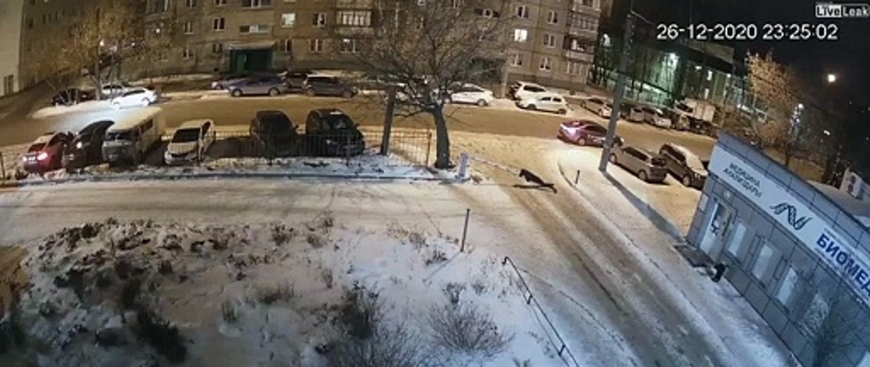 Gars bourré VS Barrière