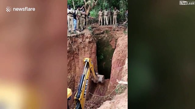 Intervention de 15h pour sauver un éléphant coincé dans un puits