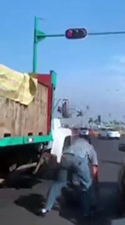 Ils profitent d'un feu rouge pour voler du poisson dans un camion