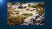 Dakar 2021 : Carlos Sainz remporte la première étape