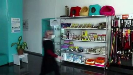 İstanbul'da veteriner hekime saldırı anı kamerada
