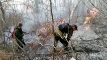 - Rusya’da yeni yıl kutlamalarında atılan havai fişekler orman yangınına neden oldu