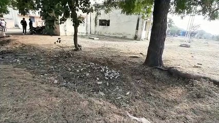 घट्टिया तहसील परिसर में गंदगी का अम्बार, जवाबदार नहीं दे रहे ध्यान