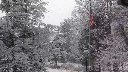 Sunday snow globe in central Pennsylvania