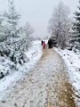 Un cycliste donne un coup de genou à une fille de 5 ans