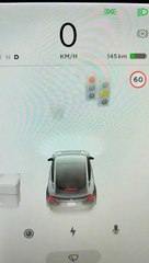 Une Tesla Model 3 confond un drapeau Coop avec un feu tricolore