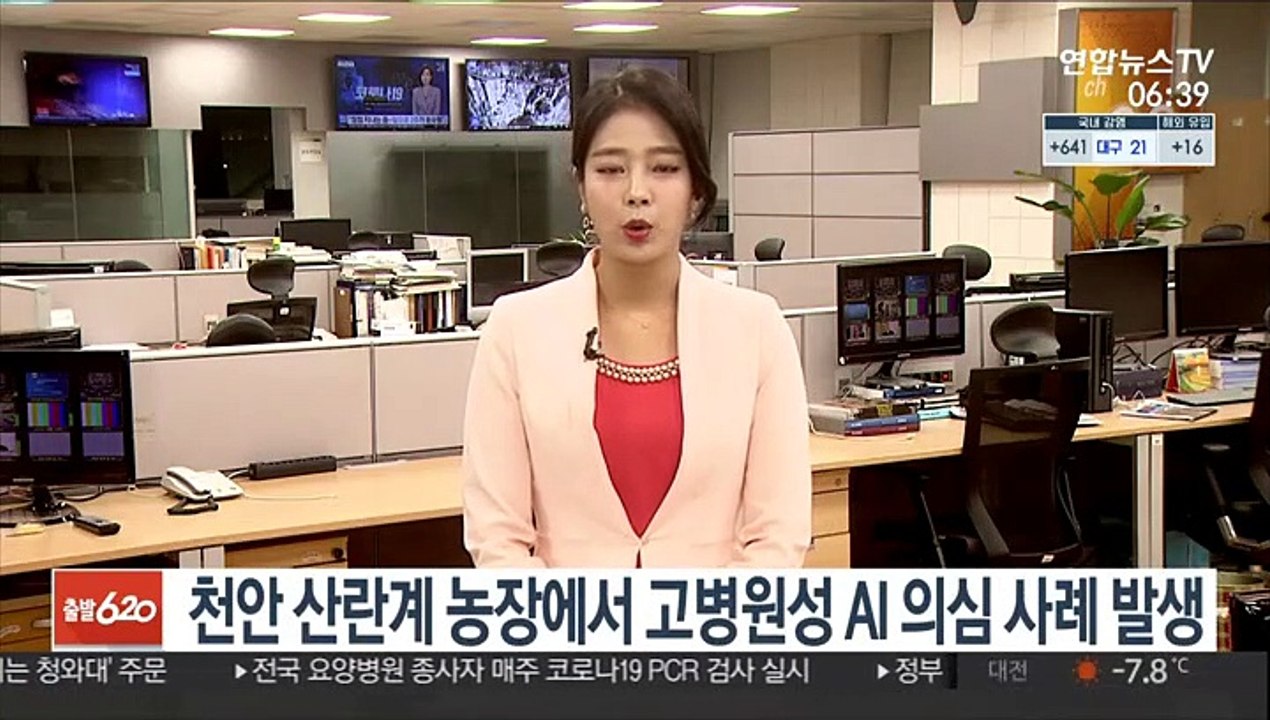 천안 산란계 농장에서 고병원성 AI 의심 사례 발생