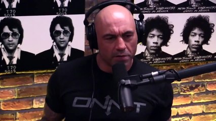 Dr Rhonda Patrick discussing Time Restricted Feeding