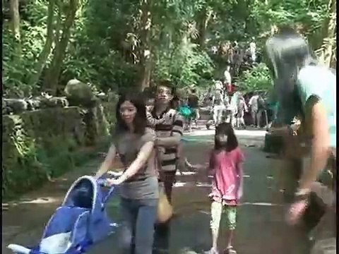 Wisata Monkey Forest Ubud Bali