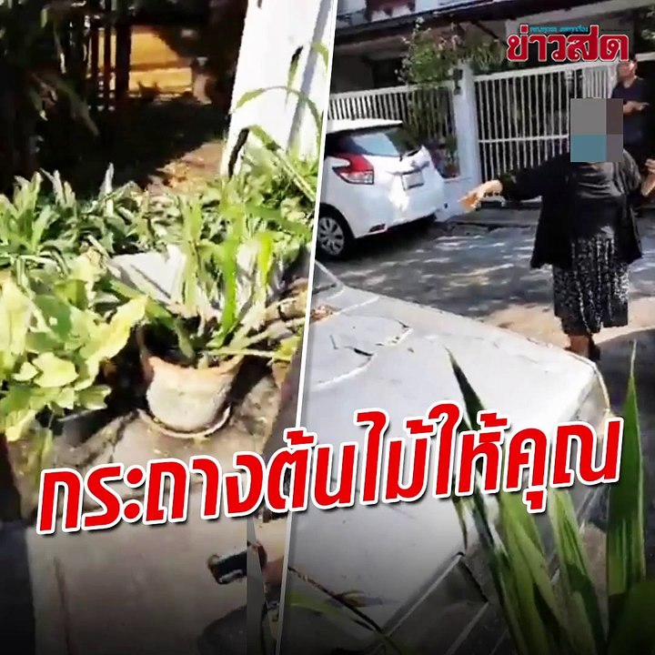 วางกระถางต้นไม้หน้าบ้านคนอื่น