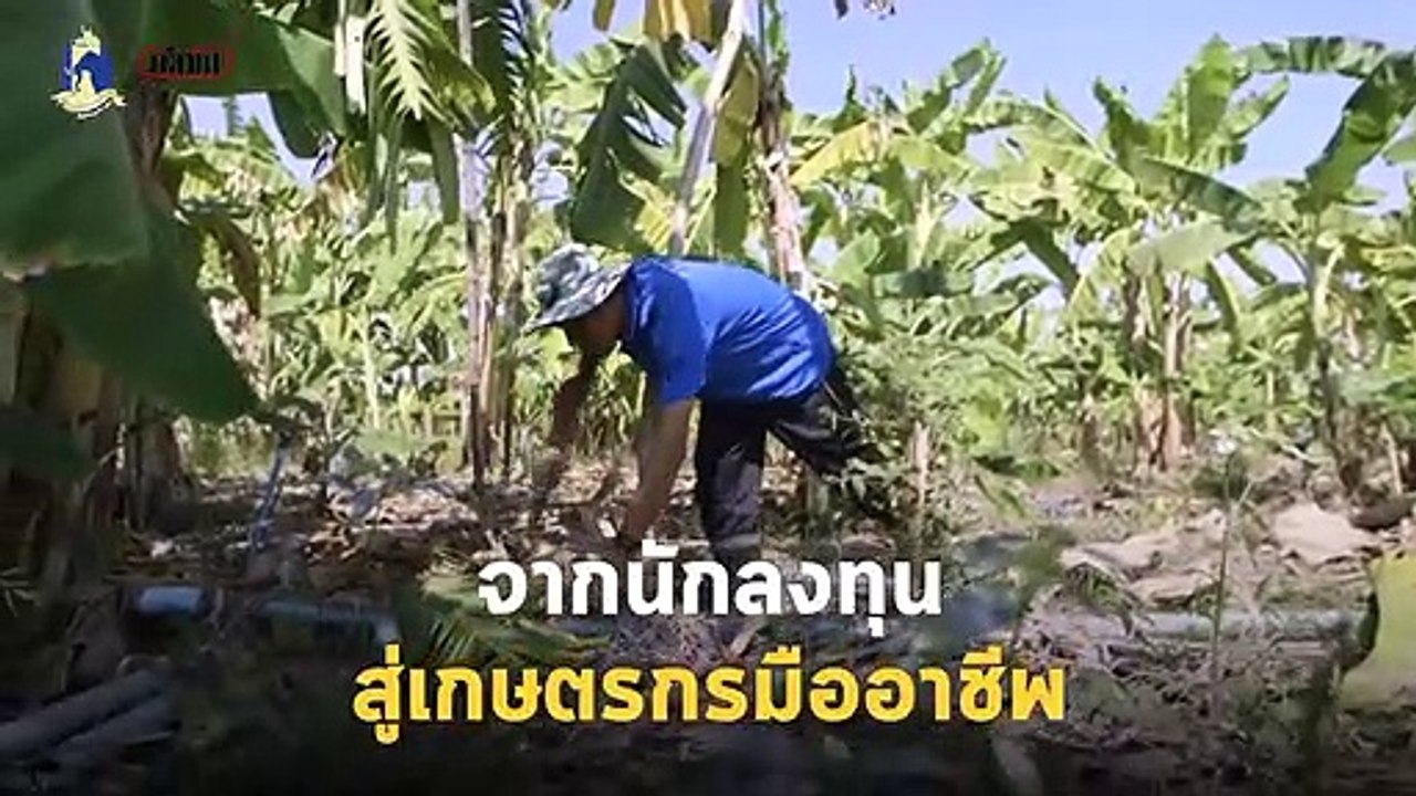 จากนายช่างบนเรือ สู่เกษตรกรมืออาชีพ