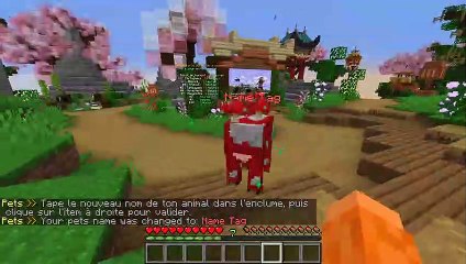 [SYLVAINCRAFT] Présentation Animal de Compagnie