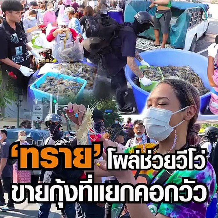 ทราย โผล่ช่วยวีโว่ ขายกุ้งที่แยกคอกวัว