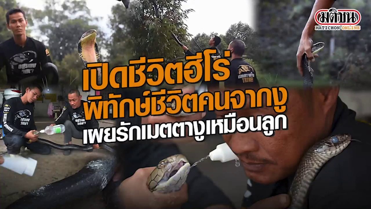 เปิดชีวิตฮีโร่ พิทักษ์ชีวิตคนจากงู รักเมตตาเหมือนลูก