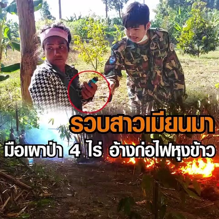 กรมอุทยานฯ จับมือเผาป่า
