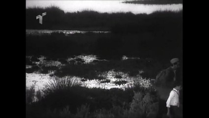 FILMI  "TOKE E PERGJAKUR" | Kinematografia Shqiptare