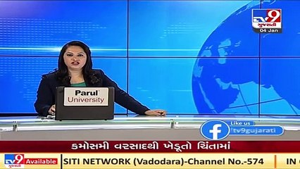 Unseasonal rain in Aravalli's Meghraj, farmers fear crop loss